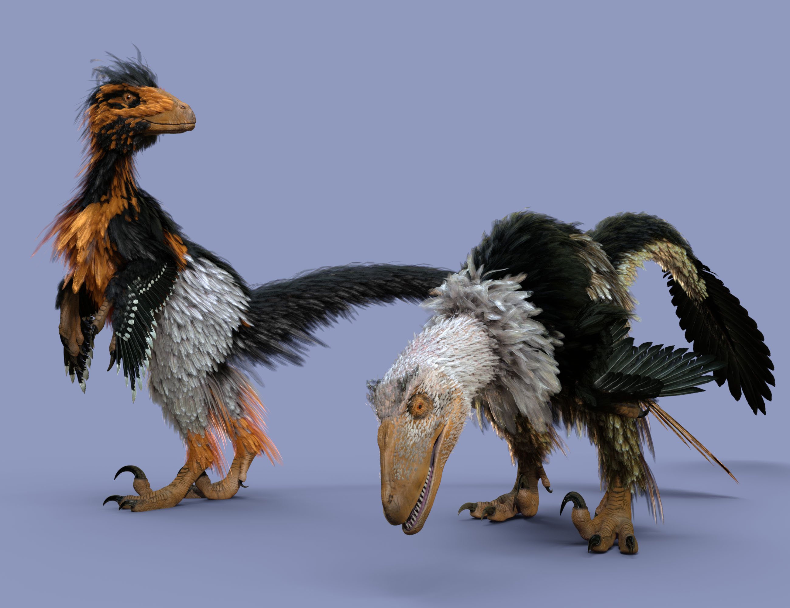 Dinosaurs Series - Feathers Extension for Deinonychus by: Alessandro_AMLMX3D, 3D Models by Daz 3D