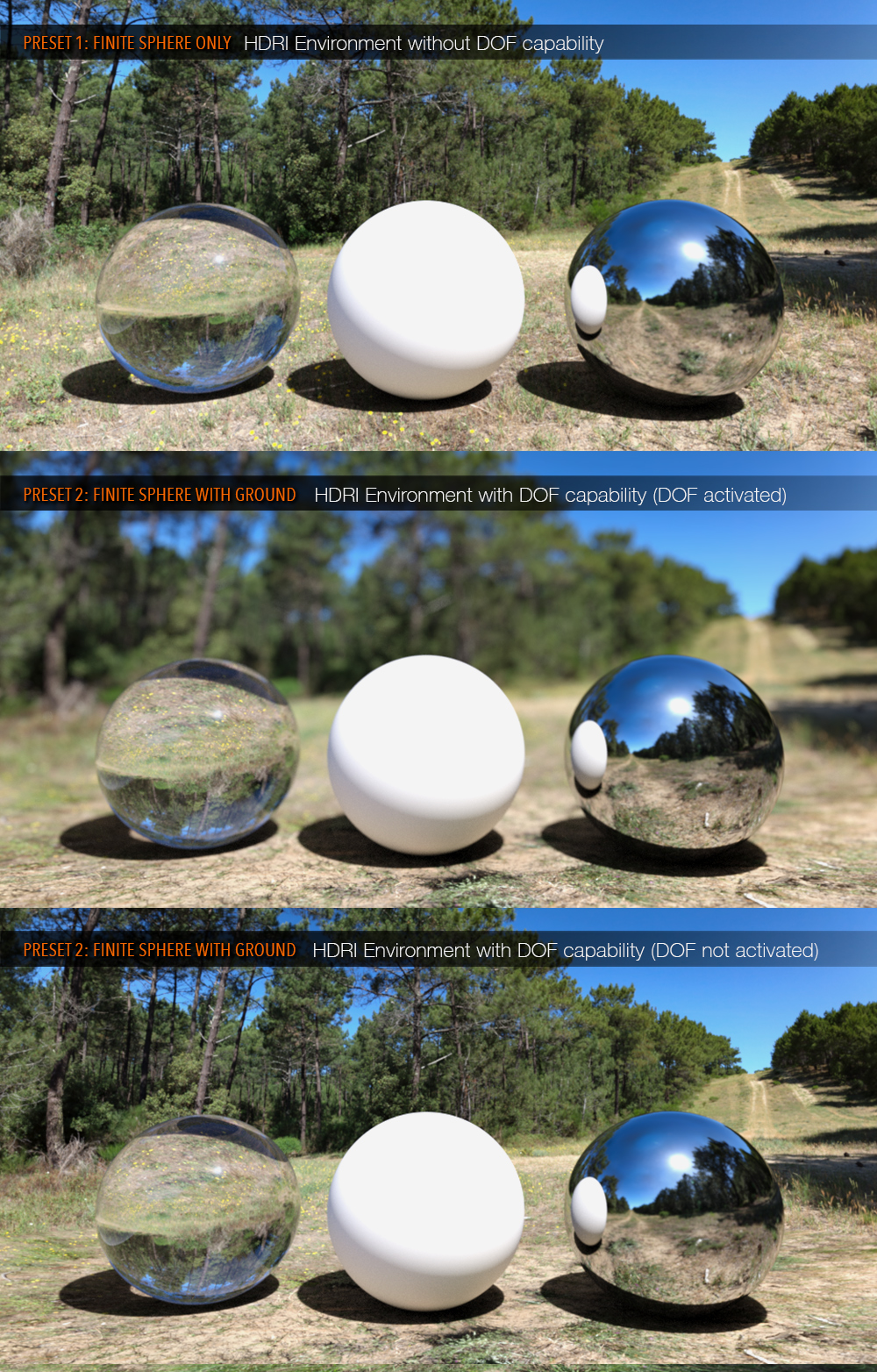 UltraHD Iray HDRI With DOF - Through the Pines | Daz 3D