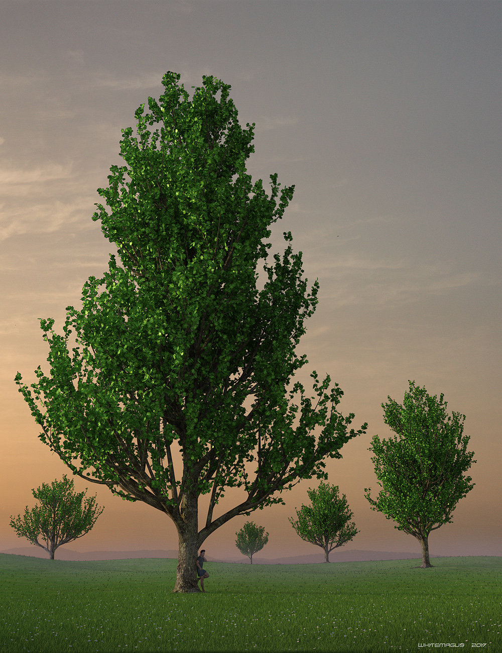 Maple Trees by: Whitemagus, 3D Models by Daz 3D