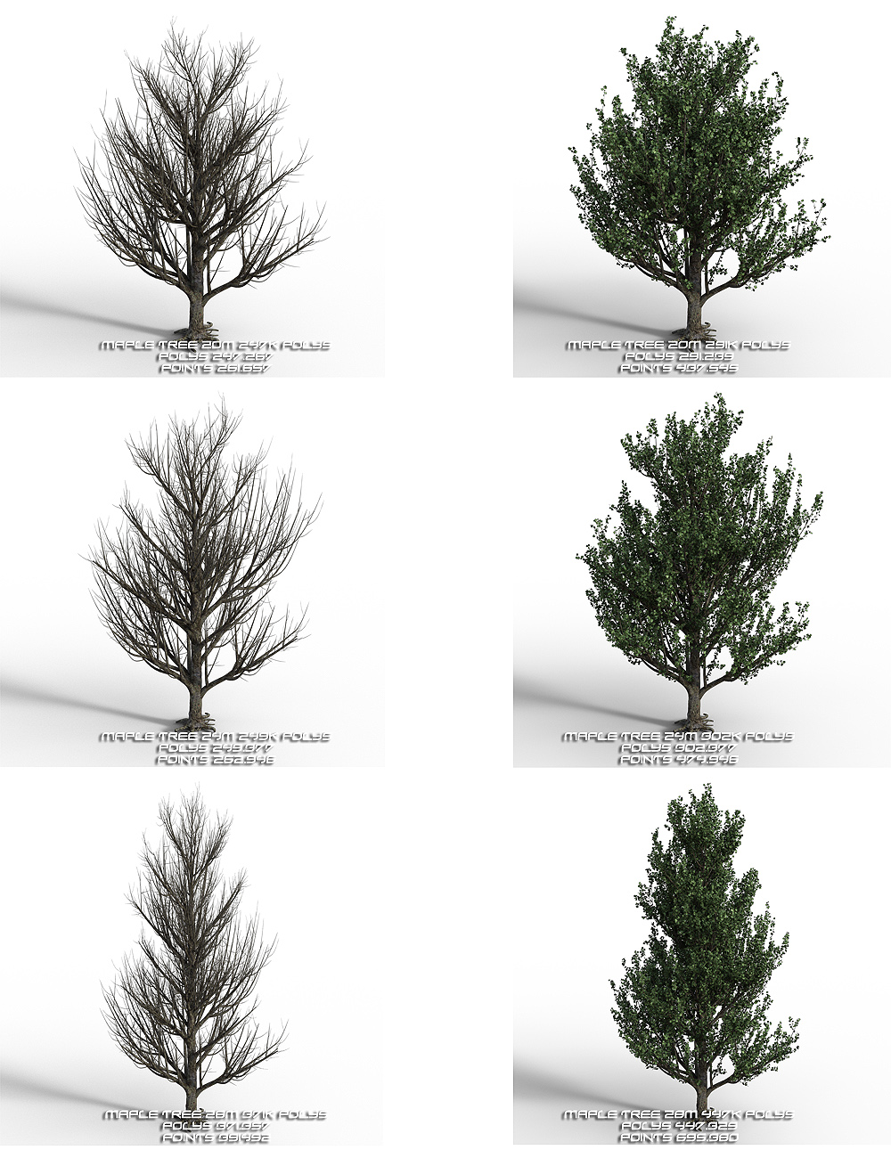 Maple Trees Maple Trees by: Whitemagus, 3D Models by Daz 3D