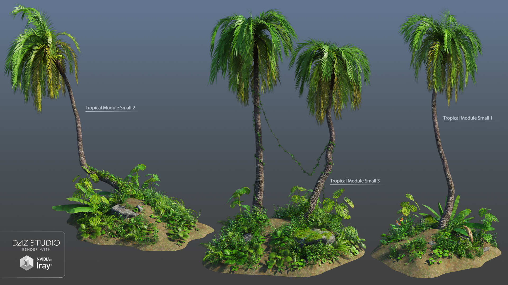 Tropical Modules by: Andrey Pestryakov, 3D Models by Daz 3D