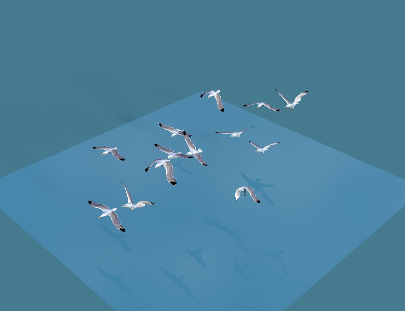 The Flock Gulls and Crows The Flock Gulls and Crows by: DzFire, 3D Models by Daz 3D