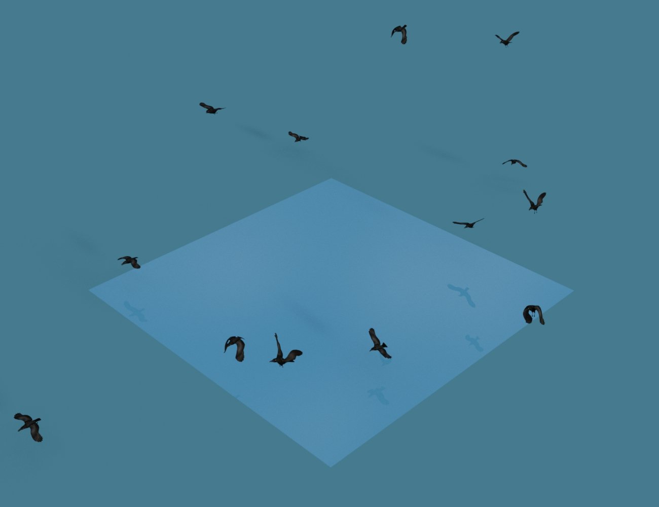 The Flock Gulls and Crows The Flock Gulls and Crows by: DzFire, 3D Models by Daz 3D