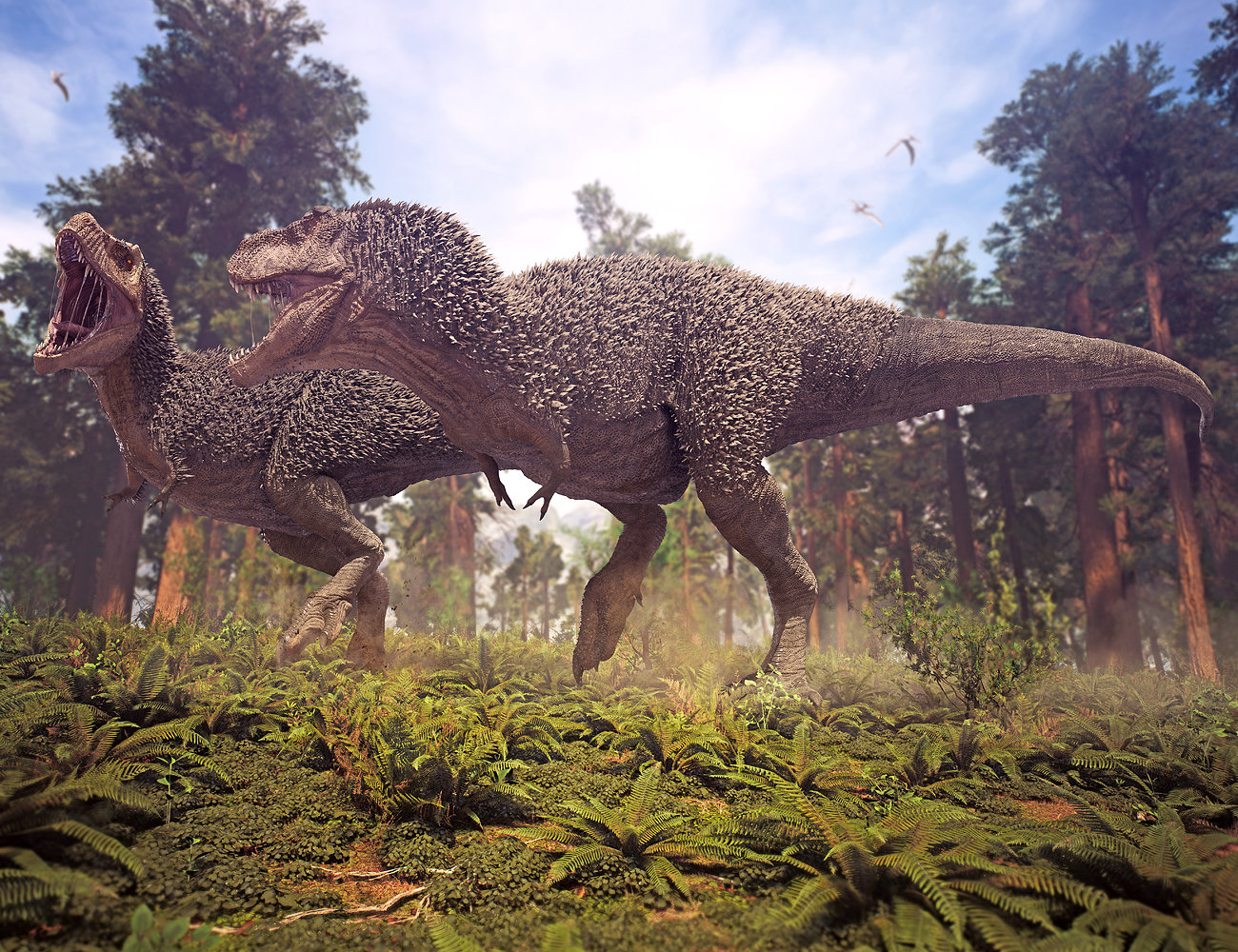 Tyrannosaurus Rex 2 by: Herschel Hoffmeyer, 3D Models by Daz 3D