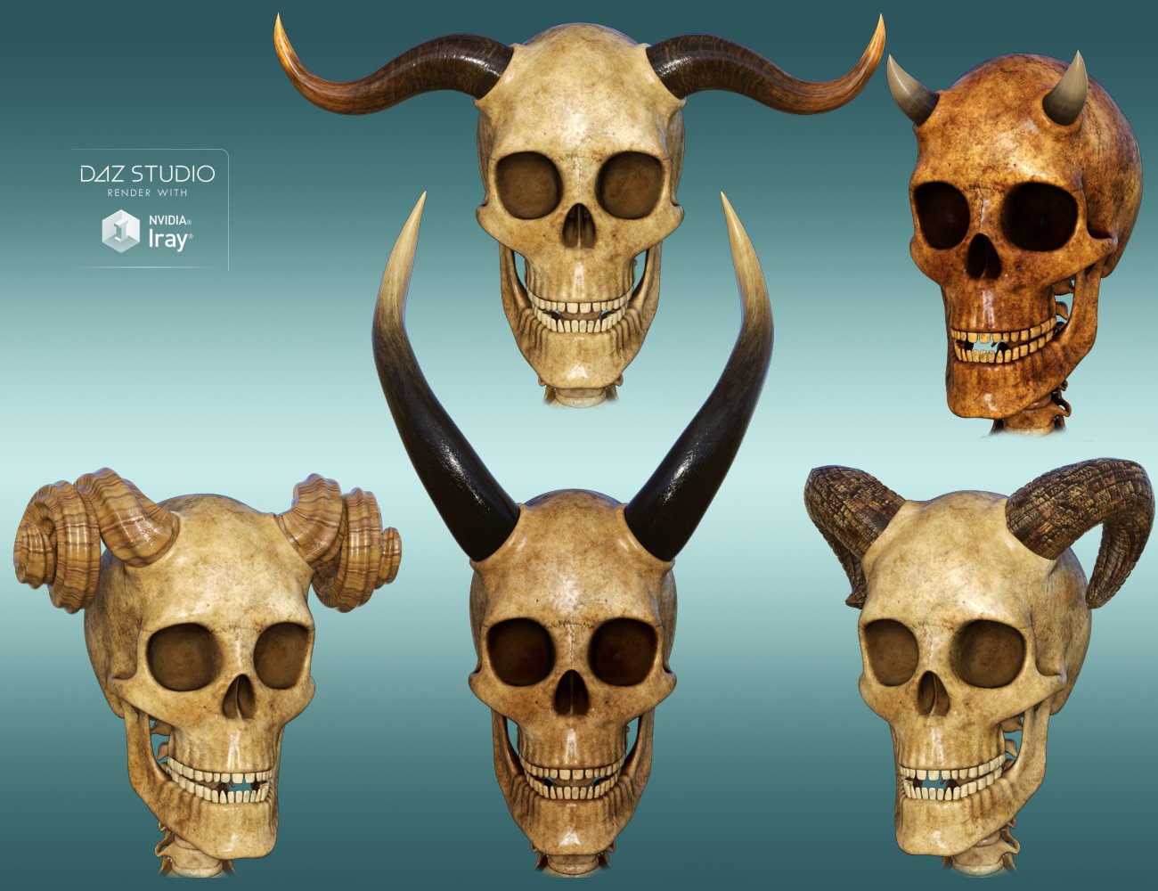 Midnight Skeleton Anatomy Pack Midnight Skeleton Anatomy Pack by: midnight_stories, 3D Models by Daz 3D