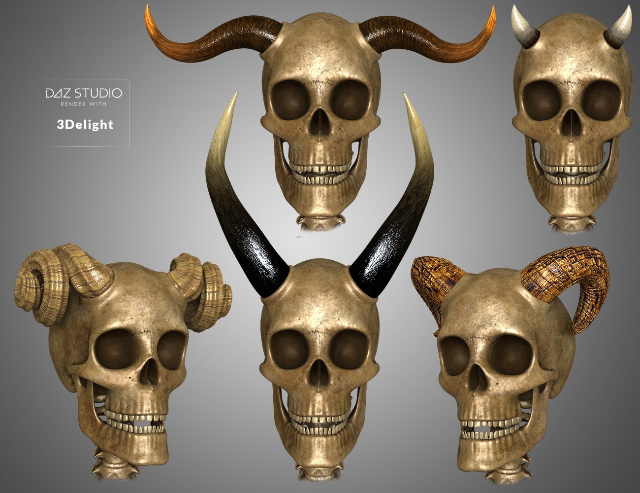 Midnight Skeleton Anatomy Pack by: midnight_stories, 3D Models by Daz 3D