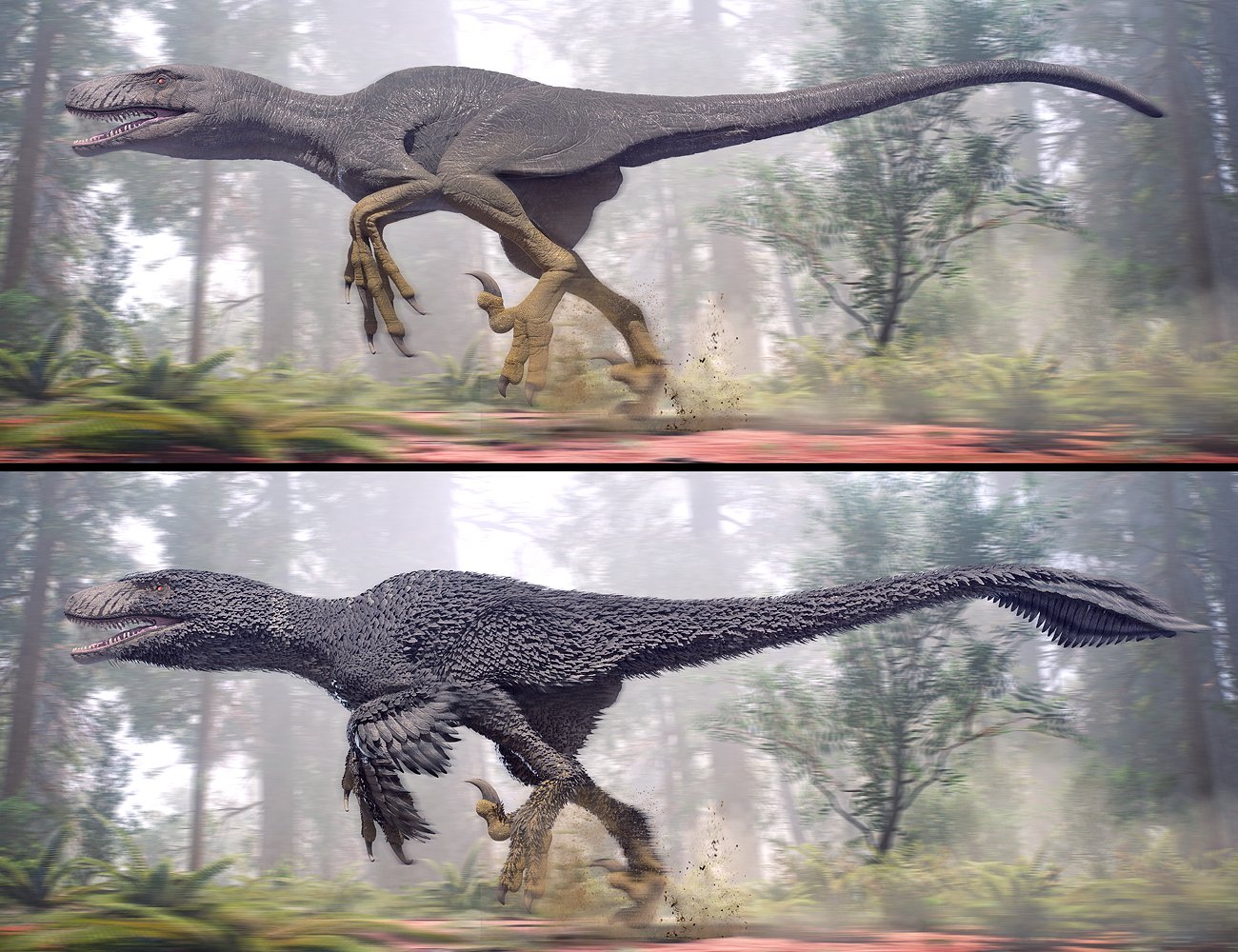 Dakotaraptor by: Herschel Hoffmeyer, 3D Models by Daz 3D