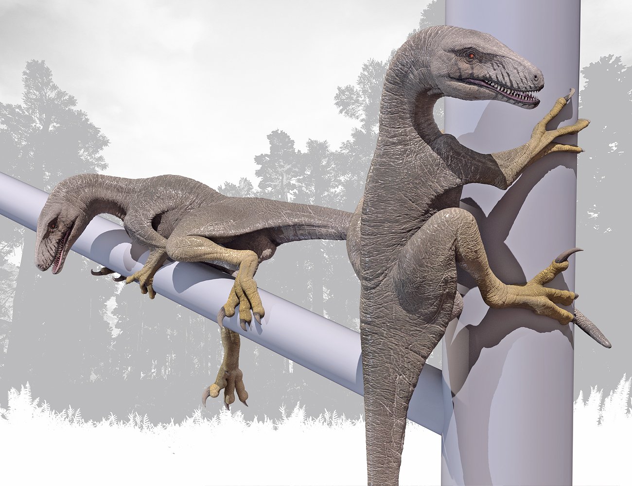 Dakotaraptor Dakotaraptor by: Herschel Hoffmeyer, 3D Models by Daz 3D