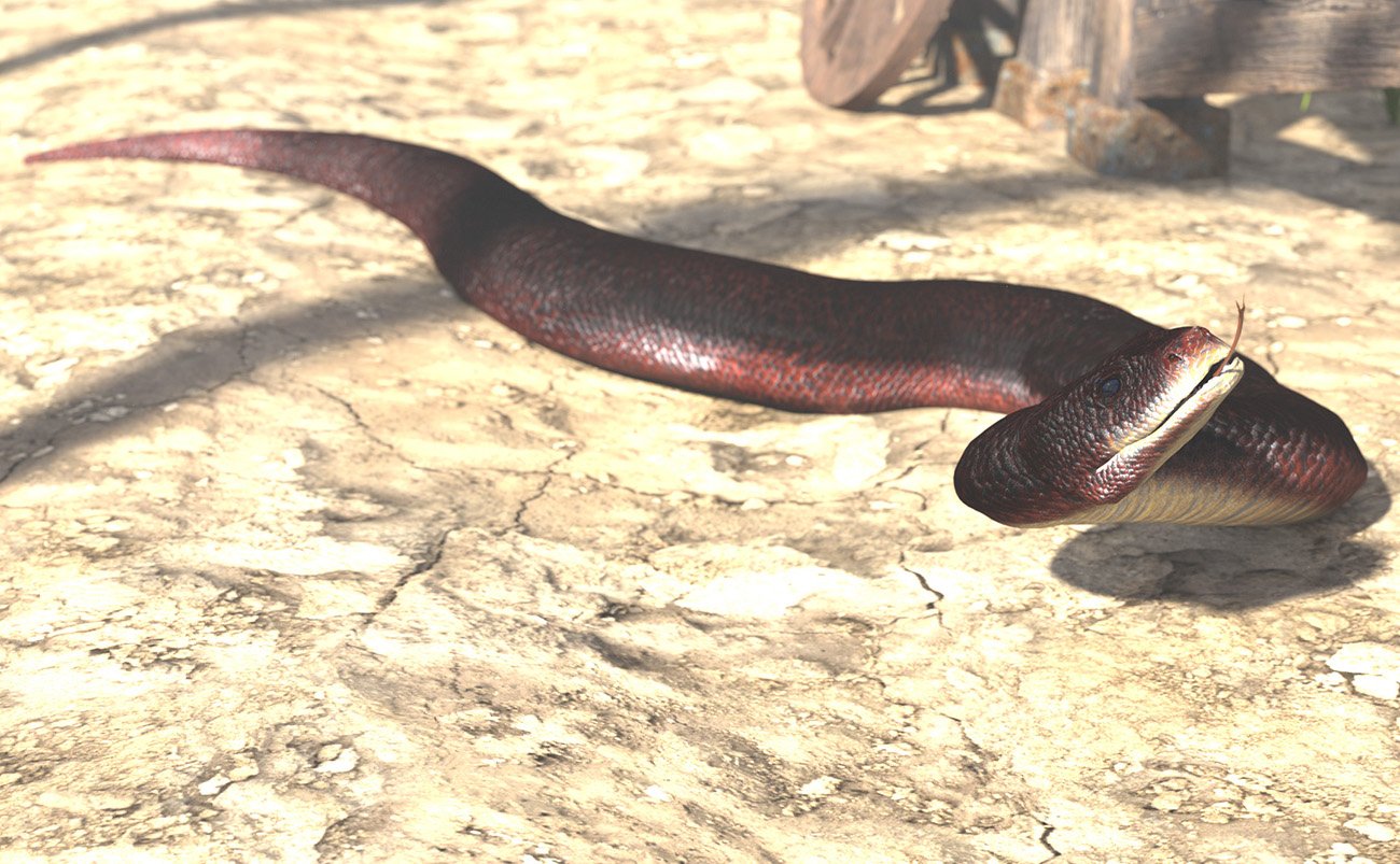 Will's Wyrms for Daz Dragon 3 Will's Wyrms for Daz Dragon 3 by: Oso3D, 3D Models by Daz 3D