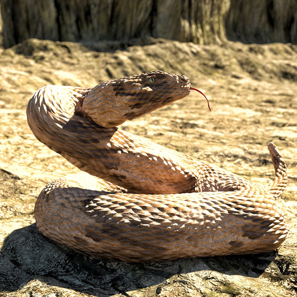 Will's Wyrms for Daz Dragon 3 Will's Wyrms for Daz Dragon 3 by: Oso3D, 3D Models by Daz 3D