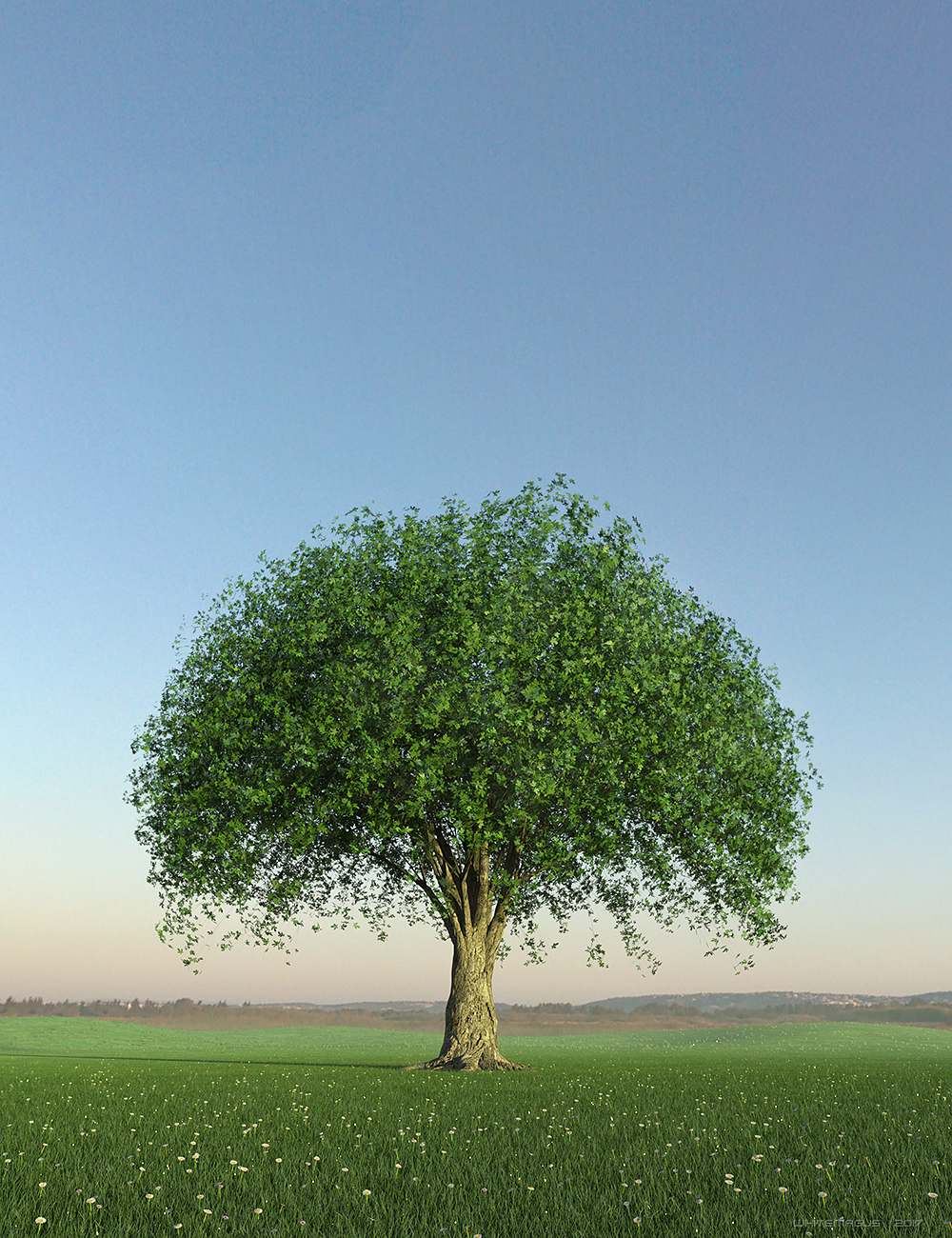 HDRI Dawn Clean Skies HDRI Dawn Clean Skies by: Whitemagus, 3D Models by Daz 3D