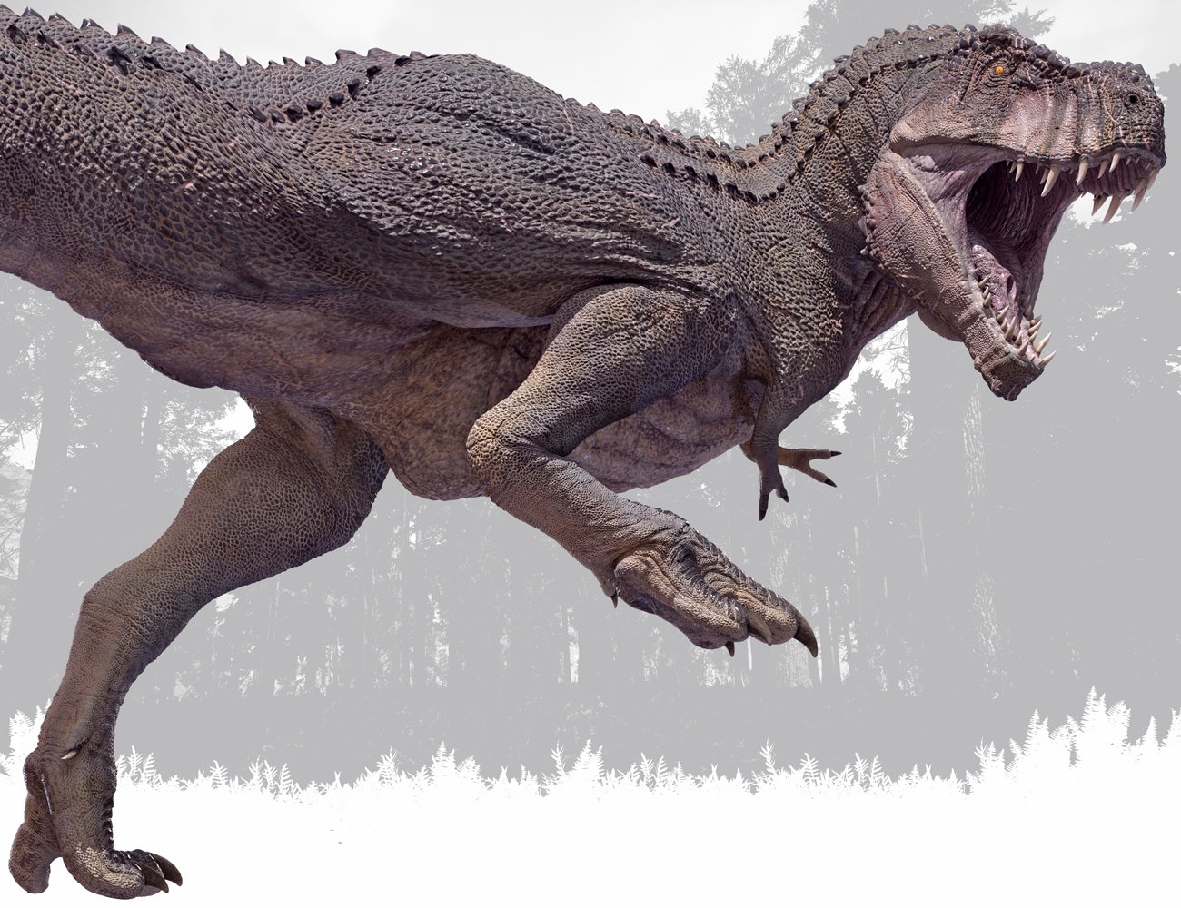 Rip and Tear Pack for Tyrannosaurus Rex 2 Rip and Tear Pack for Tyrannosaurus Rex 2 by: Herschel Hoffmeyer, 3D Models by Daz 3D