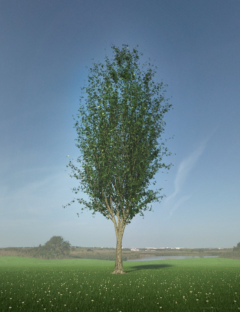 HDRI Daylight Clean Skies HDRI Daylight Clean Skies by: Whitemagus, 3D Models by Daz 3D