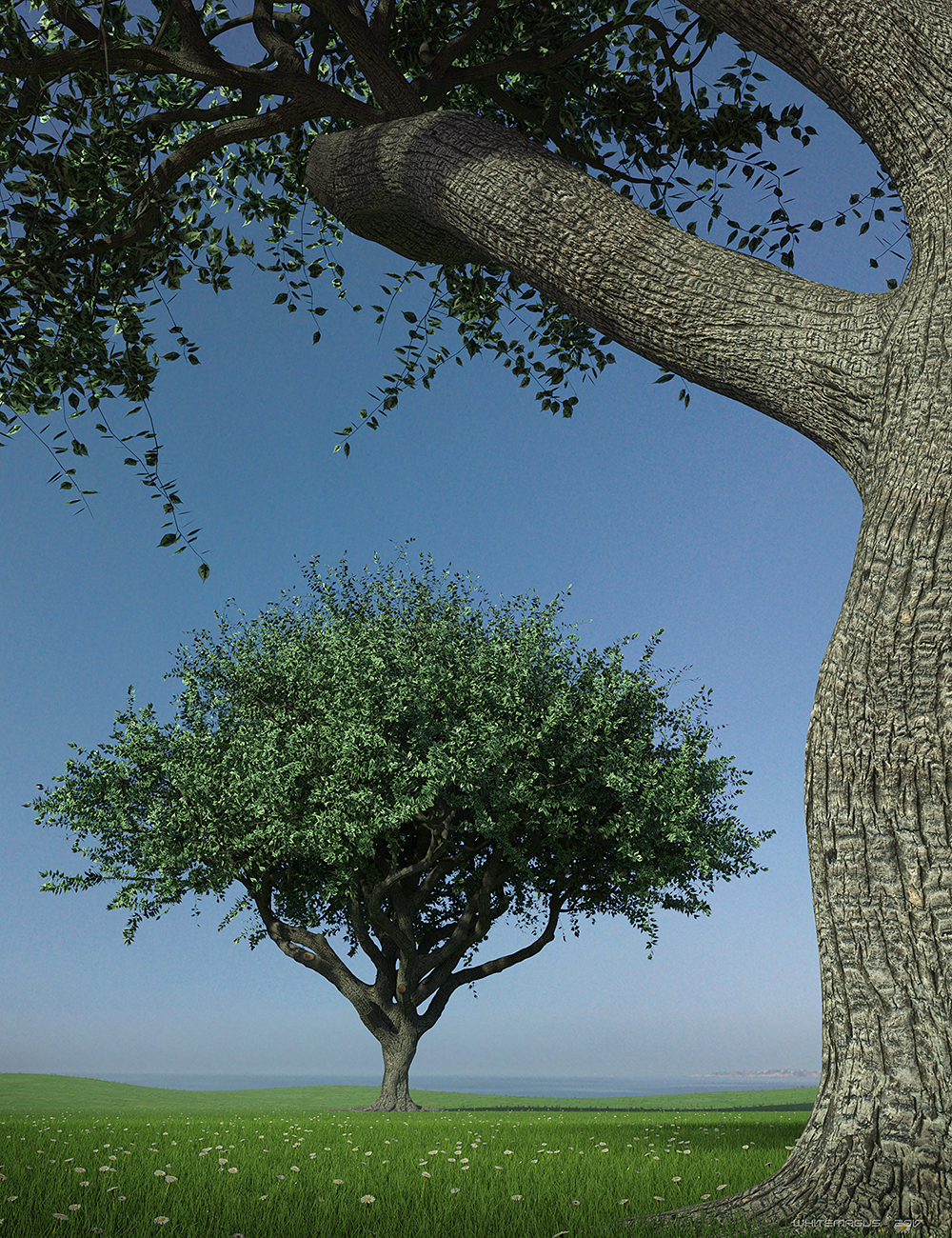 Hybrid Trees - Pruned Hybrid Trees - Pruned by: Whitemagus, 3D Models by Daz 3D