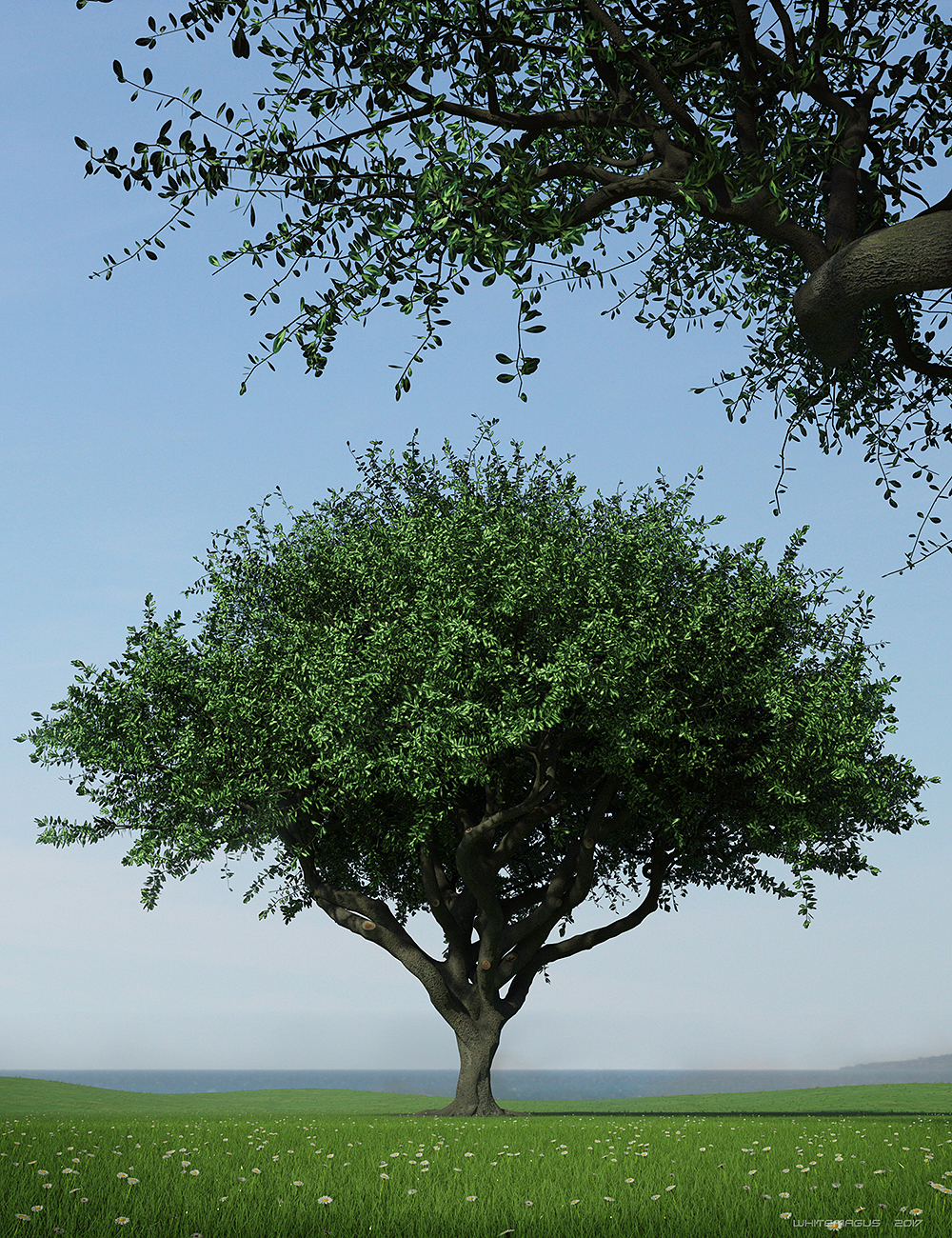 Hybrid Trees - Pruned Hybrid Trees - Pruned by: Whitemagus, 3D Models by Daz 3D