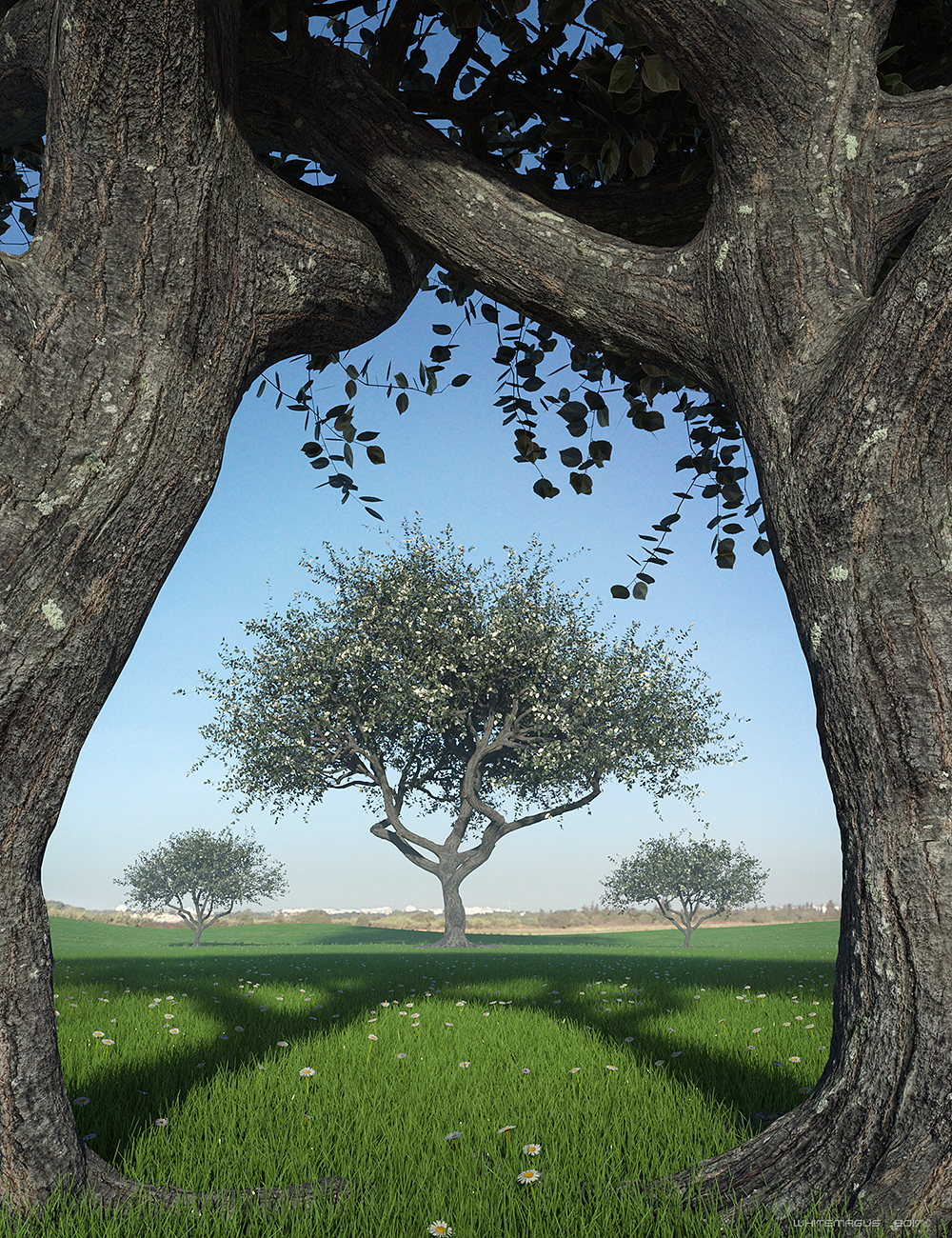 Hybrid Trees - Pruned Hybrid Trees - Pruned by: Whitemagus, 3D Models by Daz 3D