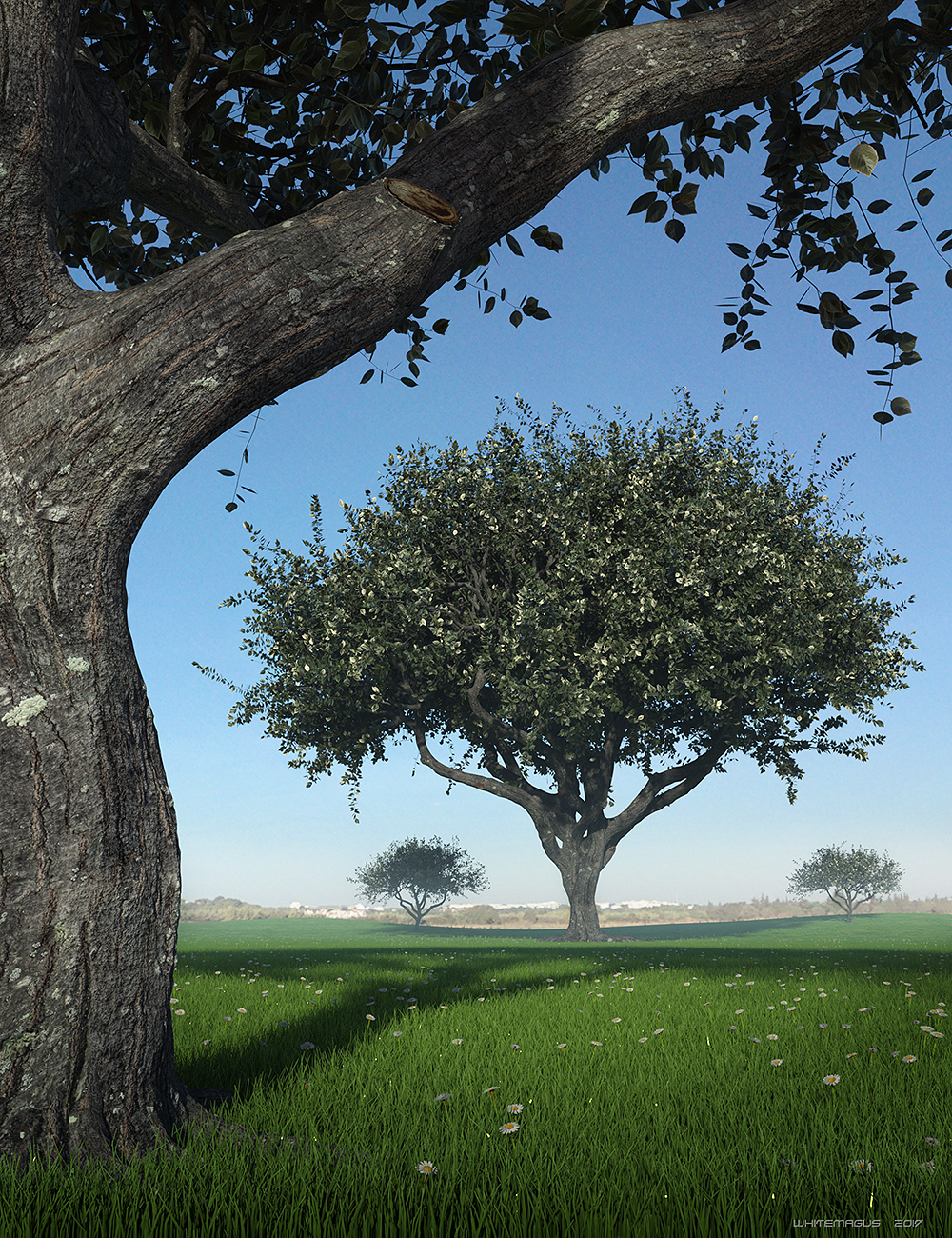 Hybrid Trees - Pruned by: Whitemagus, 3D Models by Daz 3D