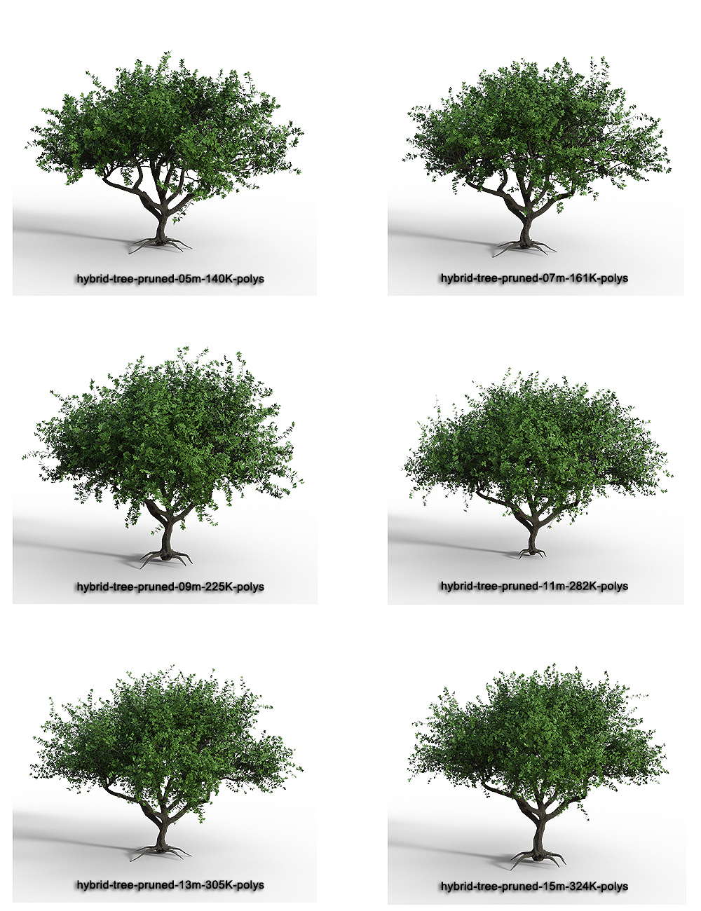 Hybrid Trees - Pruned by: Whitemagus, 3D Models by Daz 3D