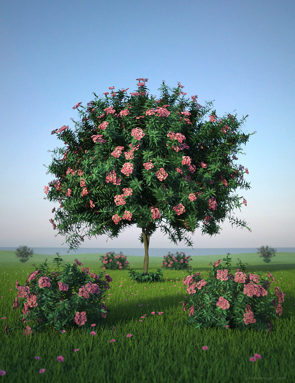 Nerium Oleander by: Whitemagus, 3D Models by Daz 3D