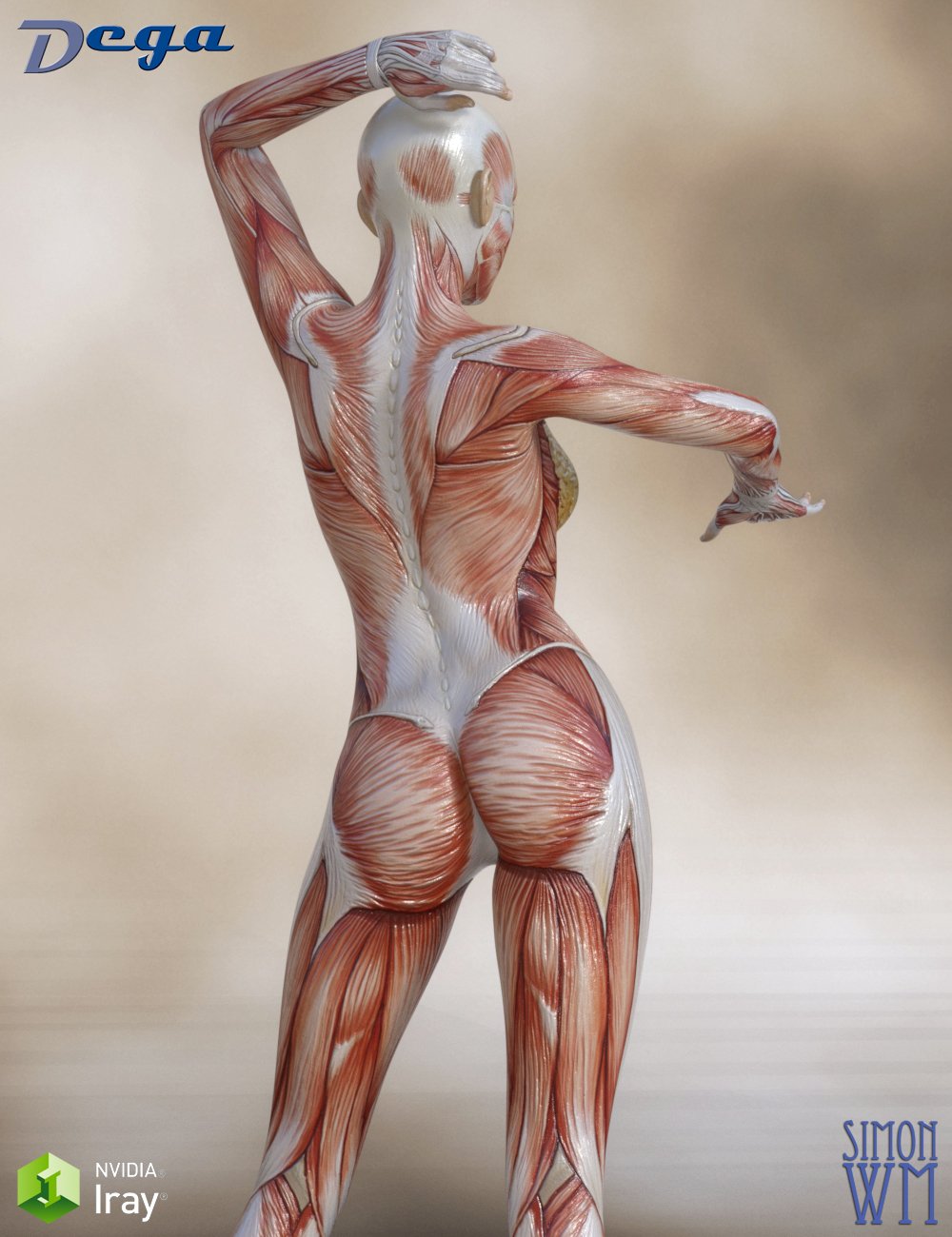 Muscle Maps for Genesis 3 and 8 Female by: DegaSimonWM, 3D Models by Daz 3D