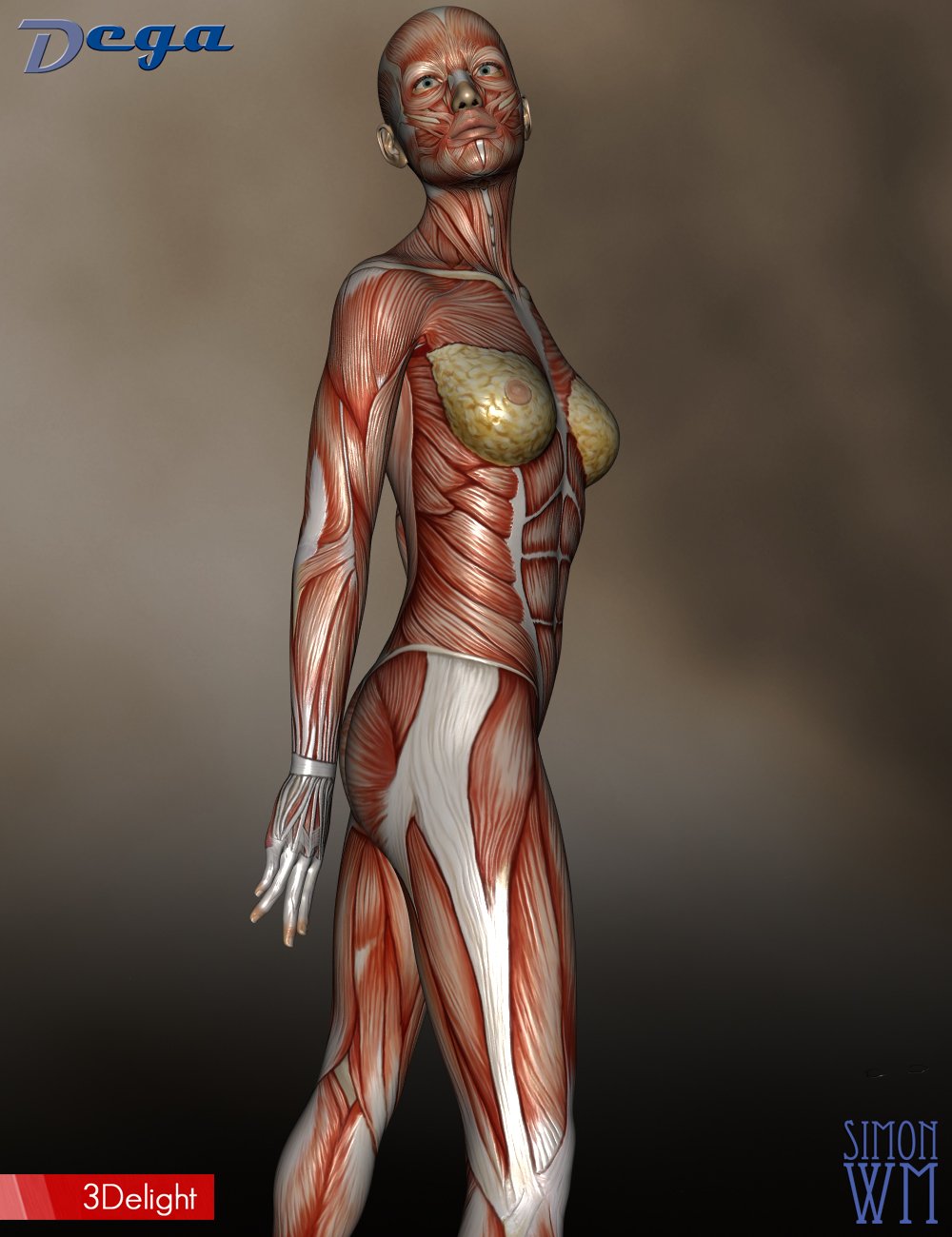 Muscle Maps for Genesis 3 and 8 Female by: DegaSimonWM, 3D Models by Daz 3D