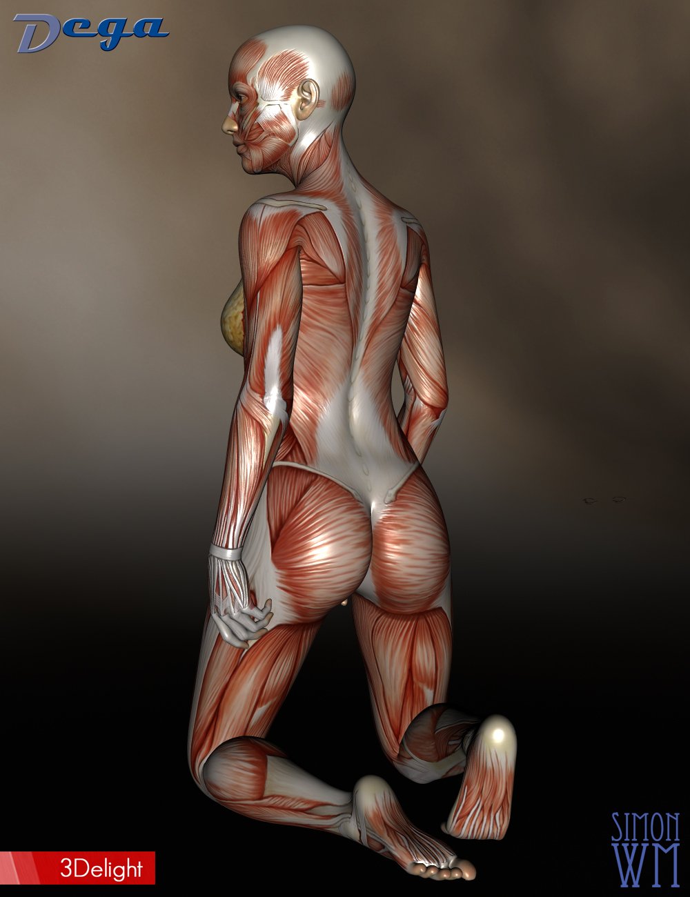 Muscle Maps for Genesis 3 and 8 Female Muscle Maps for Genesis 3 and 8 Female by: DegaSimonWM, 3D Models by Daz 3D
