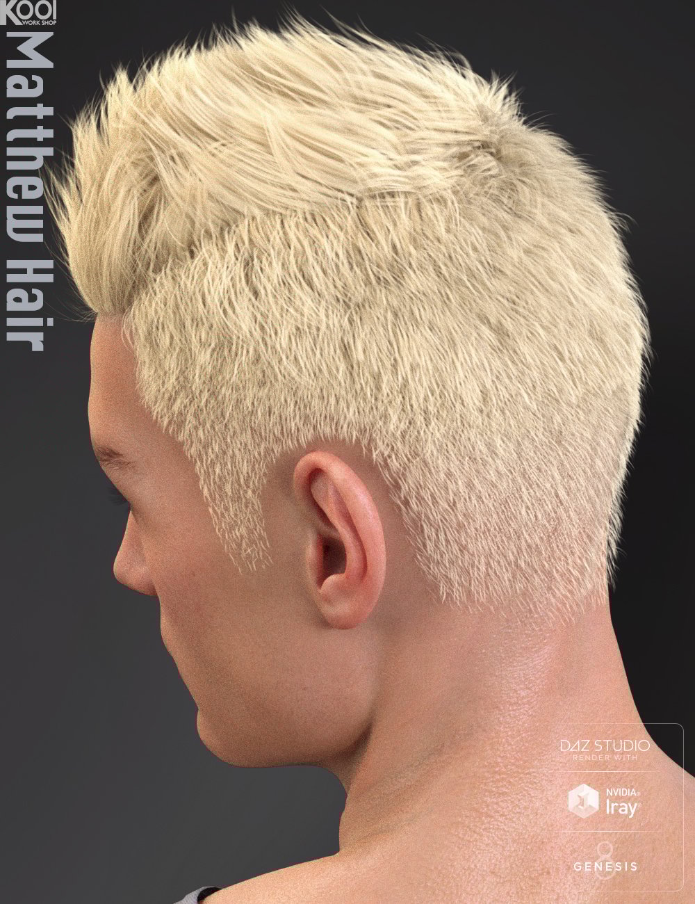 Matthew Hair for Genesis 8 Male Matthew Hair for Genesis 8 Male by: Kool, 3D Models by Daz 3D