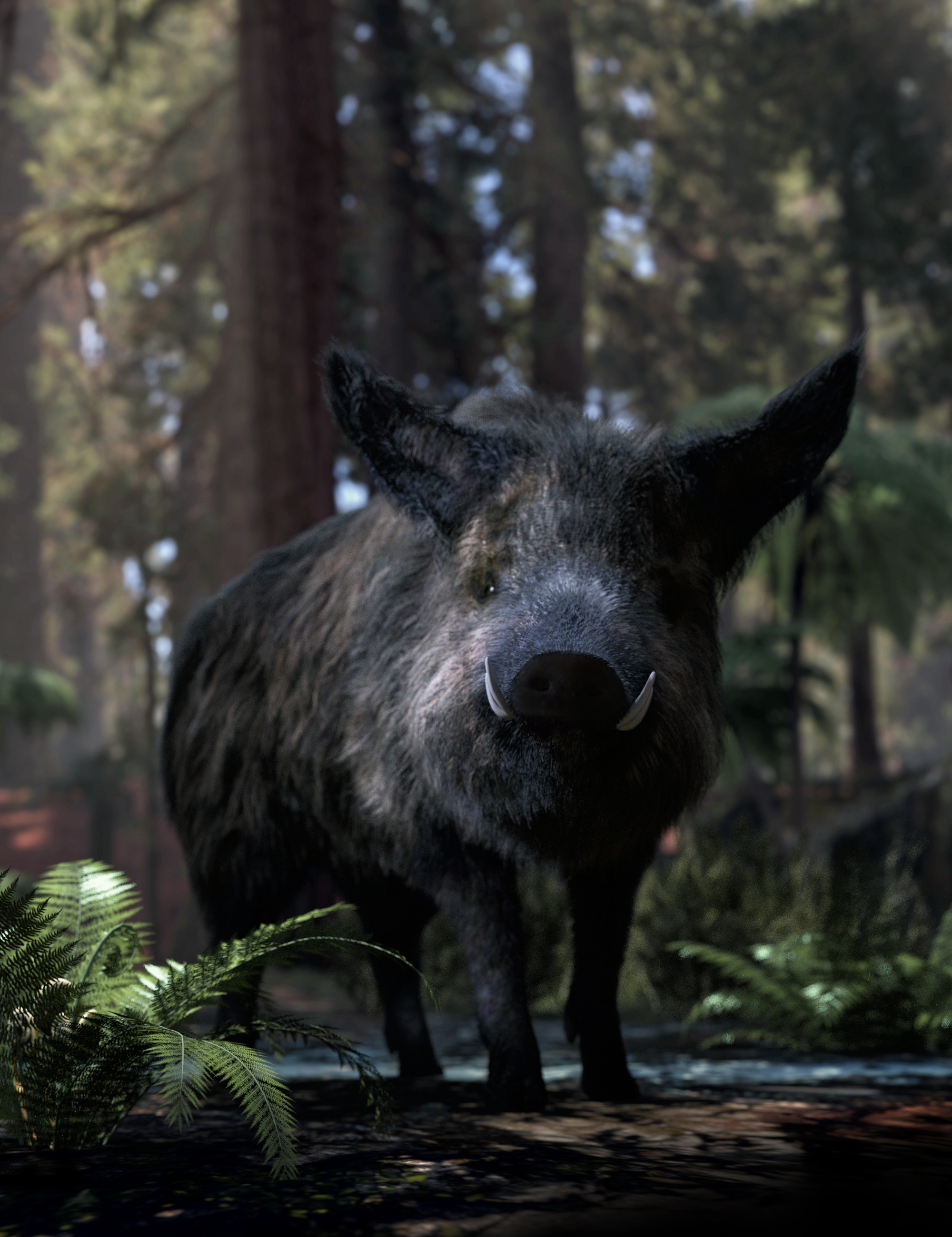 Wild Boar by AM by: Alessandro_AM, 3D Models by Daz 3D