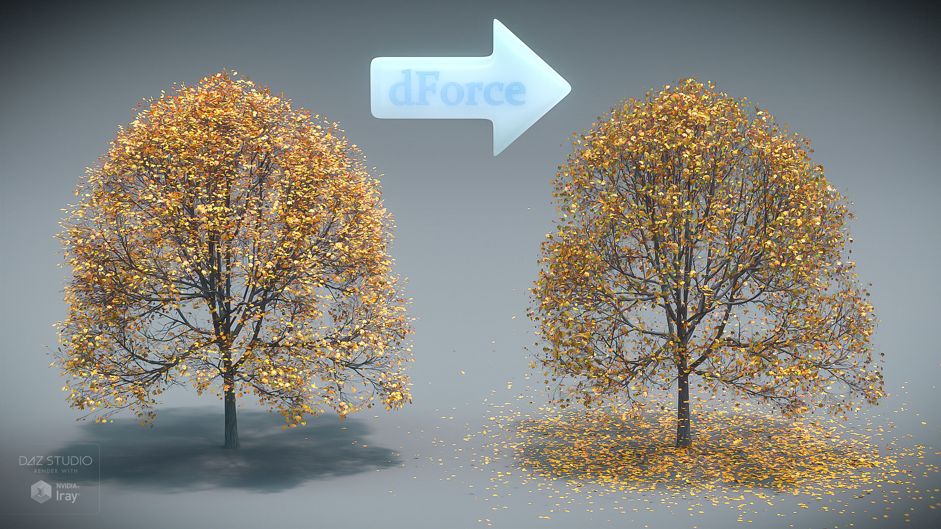 dForce Trees and Leaves by: DimensionTheoryEcoManiac3D, 3D Models by Daz 3D