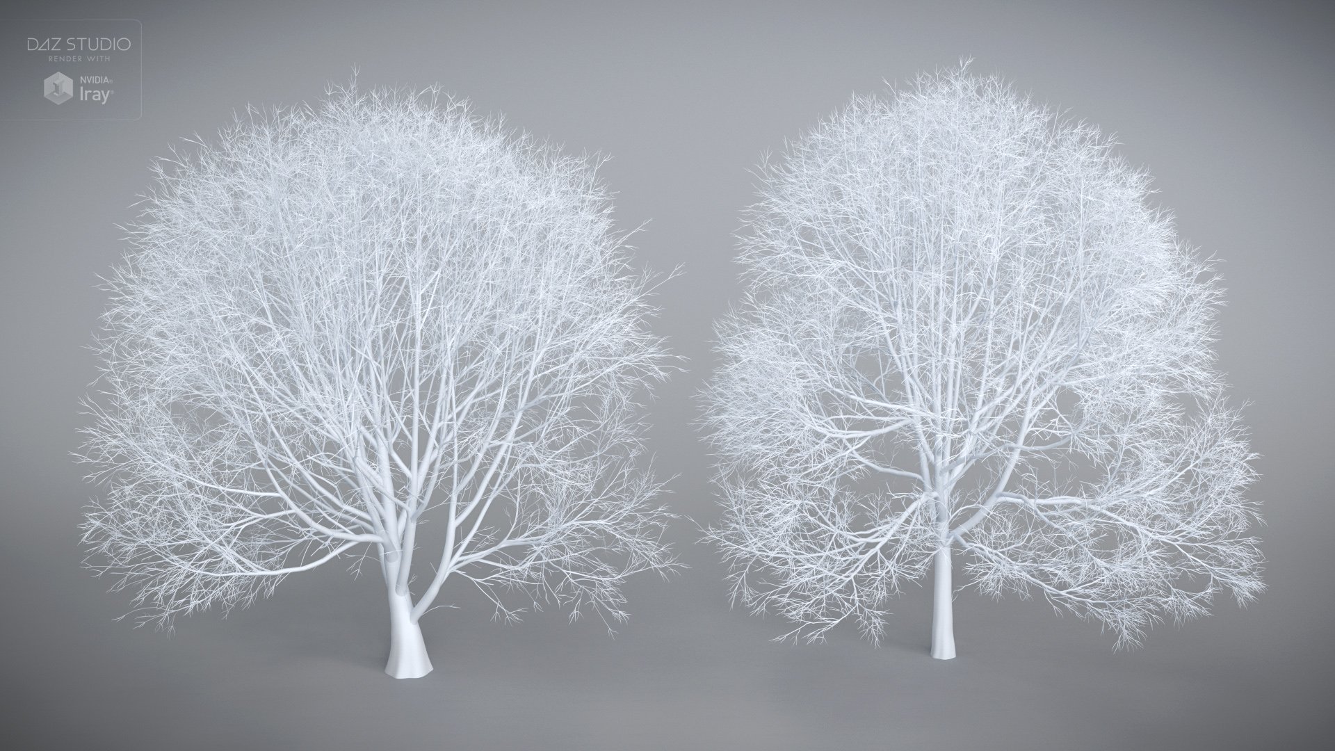 dForce Trees and Leaves dForce Trees and Leaves by: DimensionTheoryEcoManiac3D, 3D Models by Daz 3D