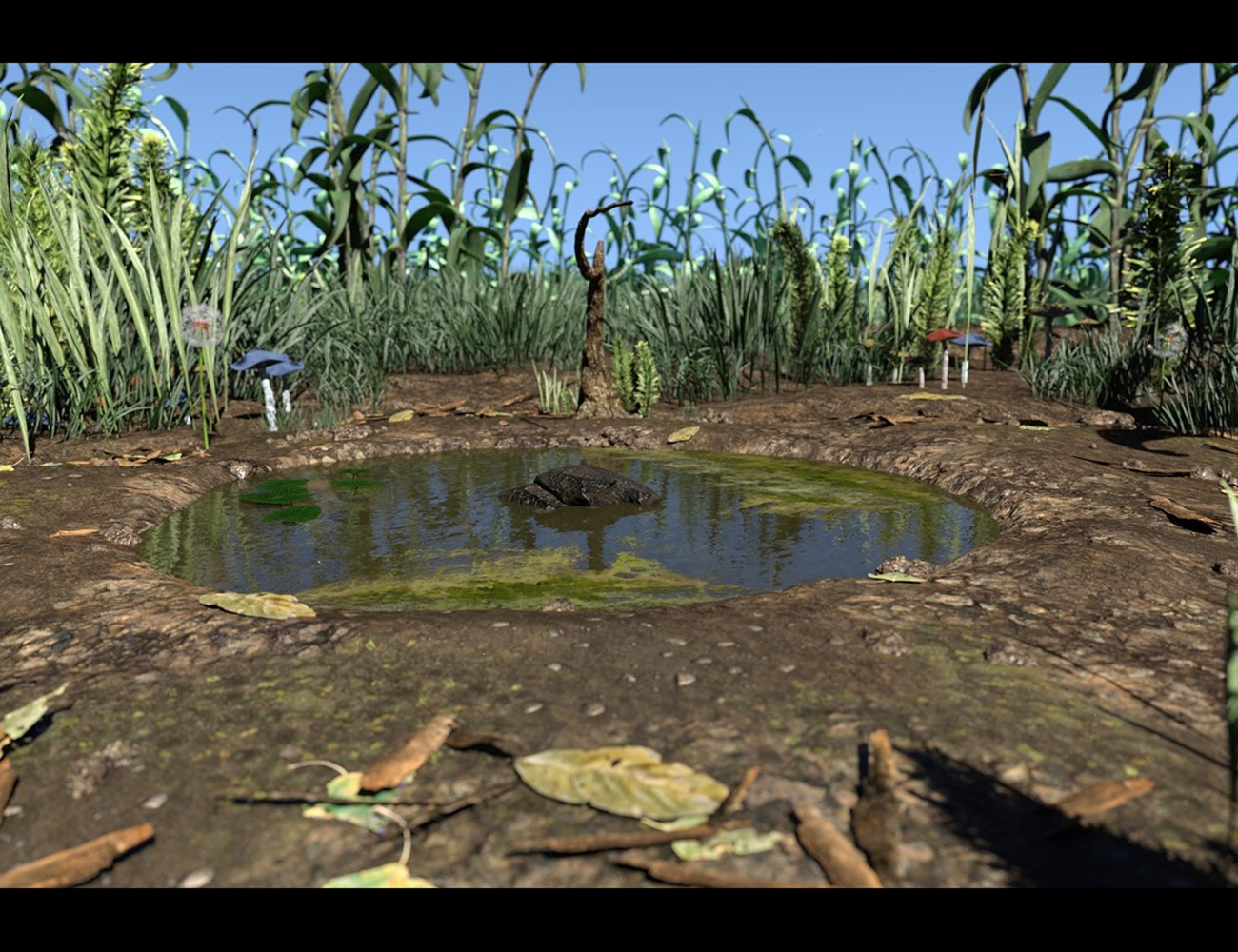 Amphibian Pond by: Alessandro_AM, 3D Models by Daz 3D
