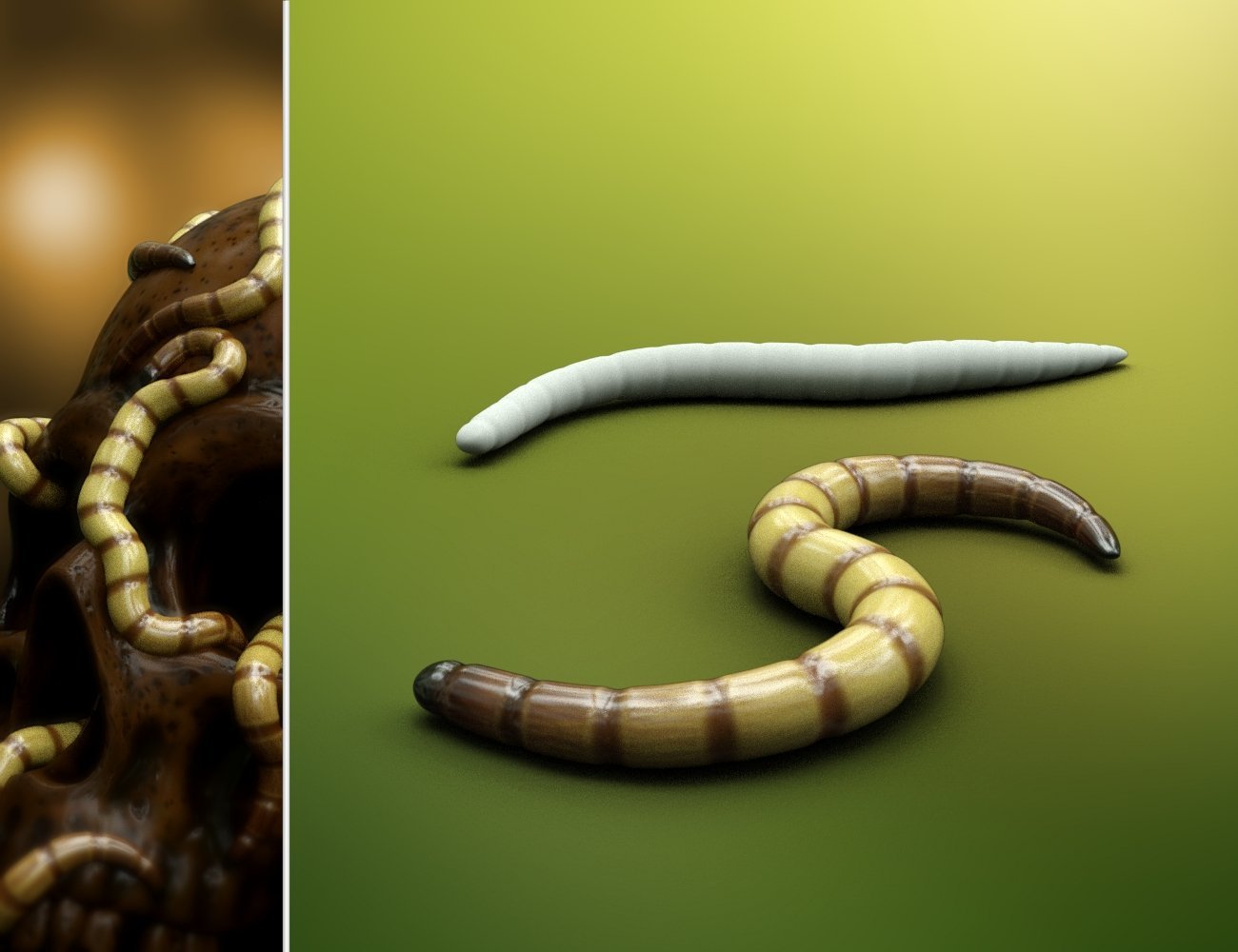 Worms by: Mechasar, 3D Models by Daz 3D