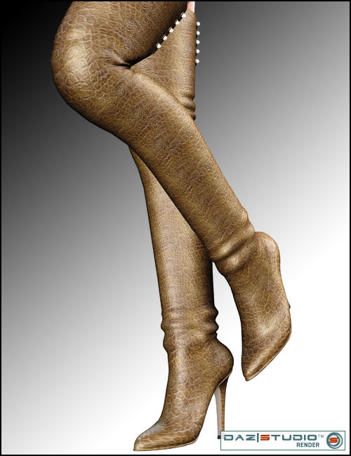 V4 Shoe Pack 2 V4 Shoe Pack 2 by: , 3D Models by Daz 3D