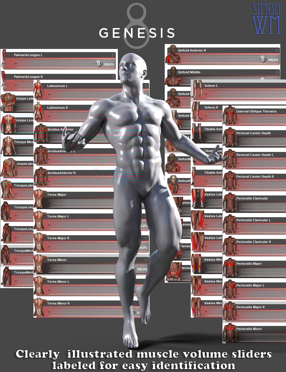 Muscularity Morphs for Genesis 8 Male(s) Muscularity Morphs for Genesis 8 Male(s) by: SimonWM, 3D Models by Daz 3D
