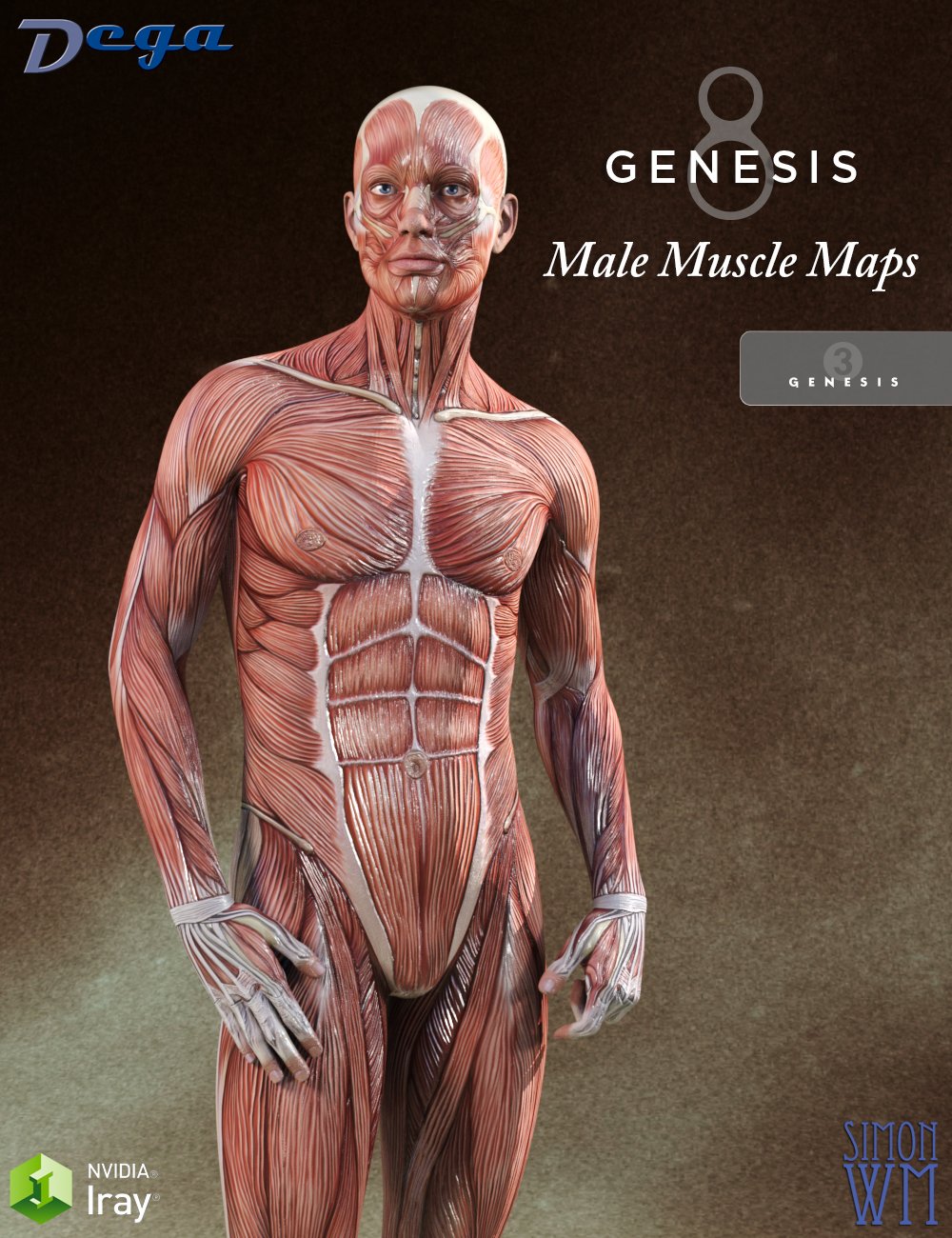 Muscle Maps for Genesis 3 and 8 Male by: SimonWMDega, 3D Models by Daz 3D