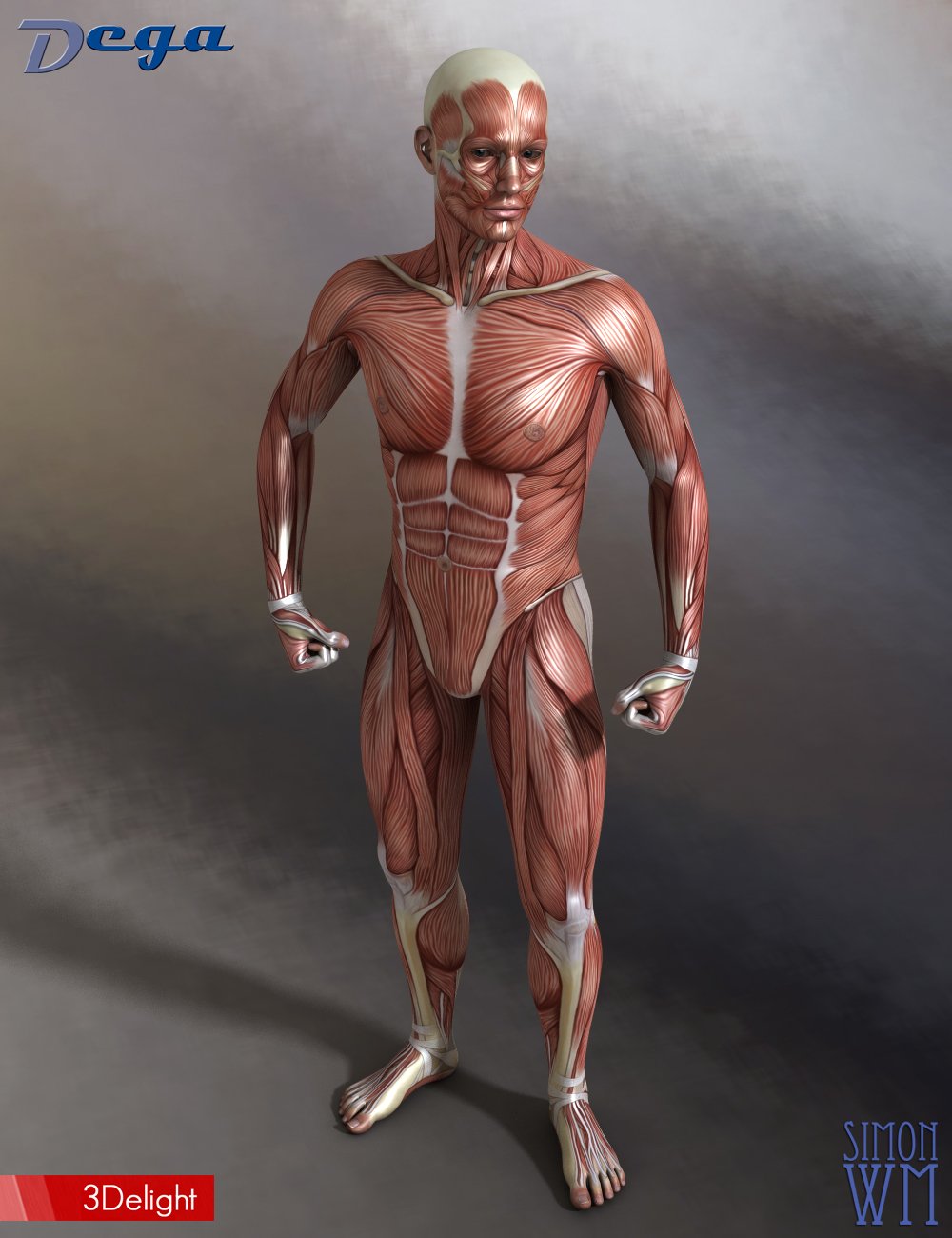 Muscle Maps for Genesis 3 and 8 Male | Daz 3D