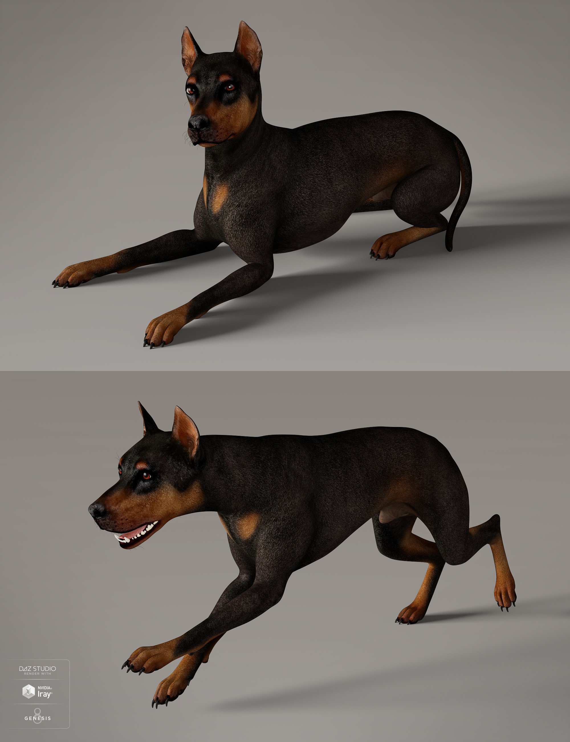 Daz 3D Millennial Dog Genitalia