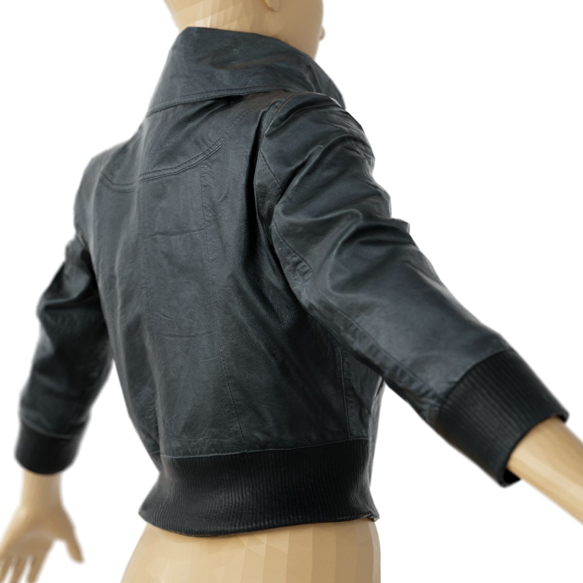 FBX- Black Leather Jacket by: Polygonal Miniatures, 3D Models by Daz 3D