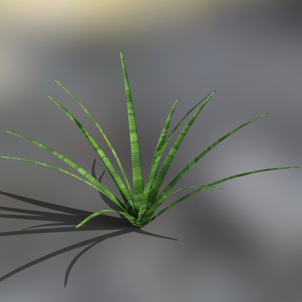 Iray Plants Pack by: JeffersonAF, 3D Models by Daz 3D