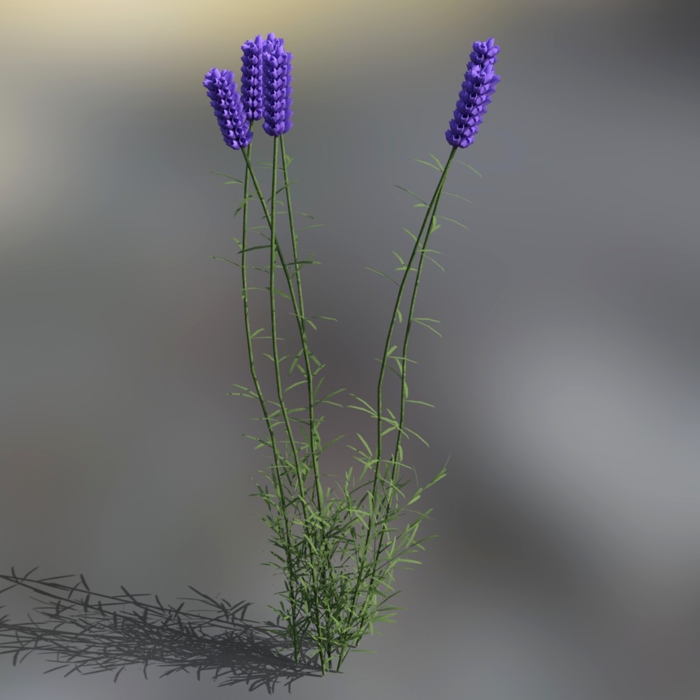 Iray Plants Pack by: JeffersonAF, 3D Models by Daz 3D