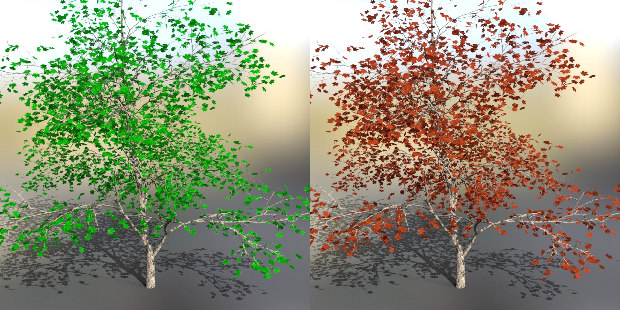 Iray Tree Pack Iray Tree Pack by: JeffersonAF, 3D Models by Daz 3D