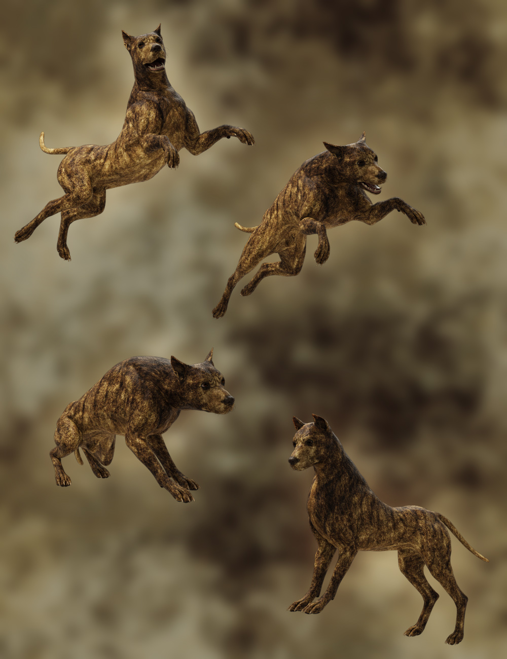 Wild Dog Poses for Daz Dog 8 | Daz 3D