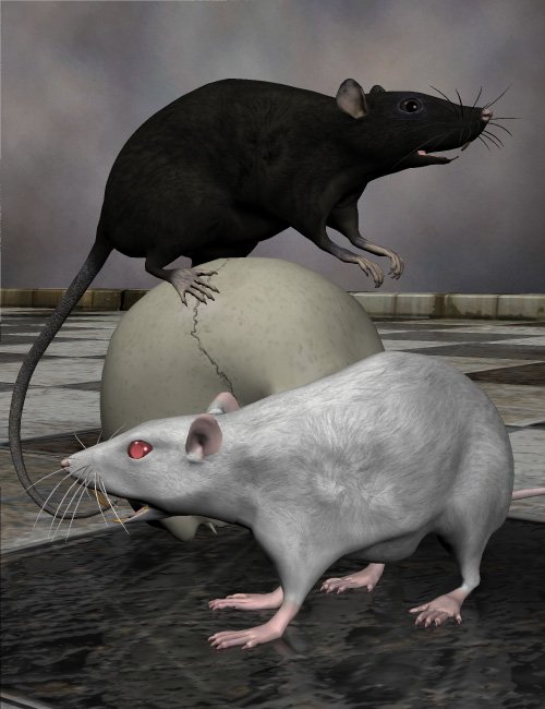 Noggin's Pet Shop Rats by: noggin, 3D Models by Daz 3D