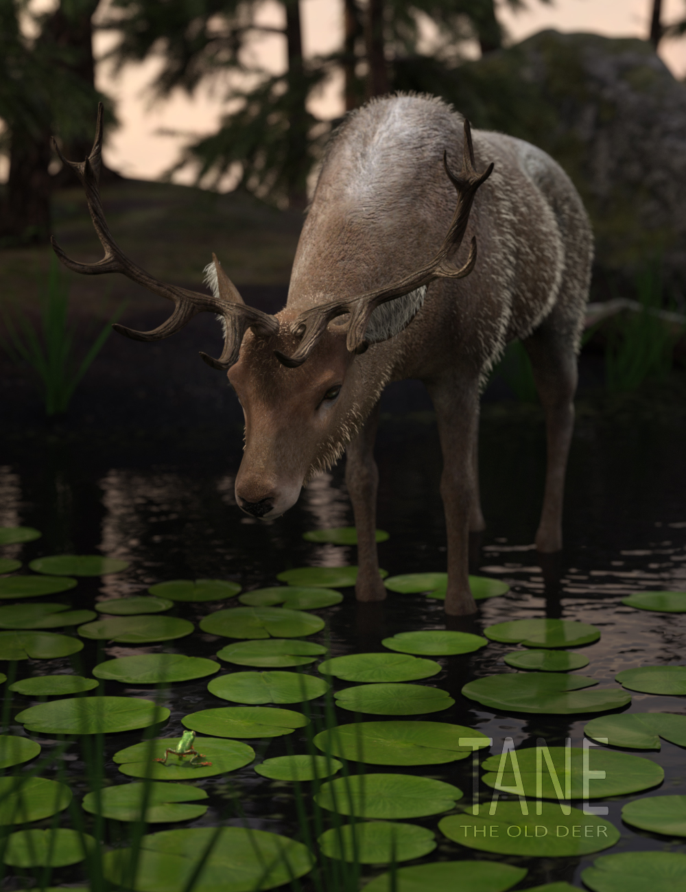 Tane The Old Deer for Daz Horse 2 by: Deepsea, 3D Models by Daz 3D