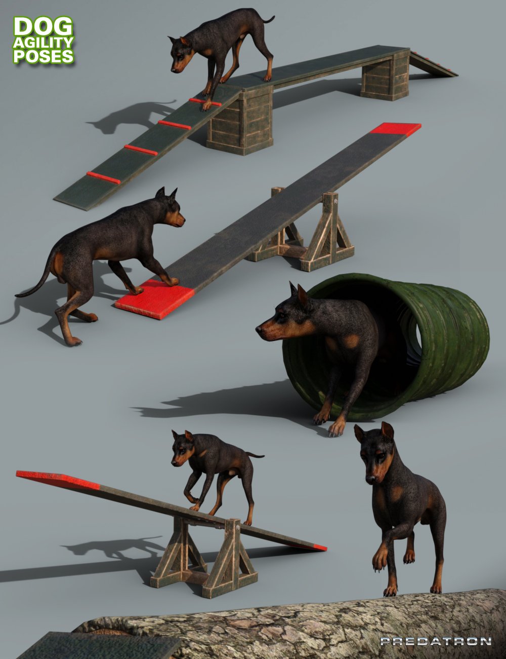 Dog Agility Course Poses by: Predatron, 3D Models by Daz 3D