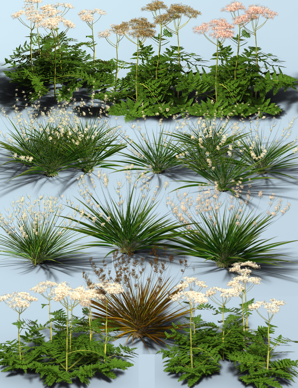 Woodland Wild Flower Plants for Daz Studio by: MartinJFrost, 3D Models by Daz 3D