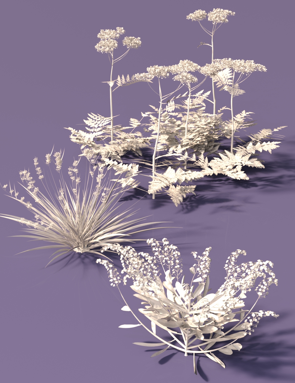 Woodland Wild Flower Plants for Daz Studio by: MartinJFrost, 3D Models by Daz 3D