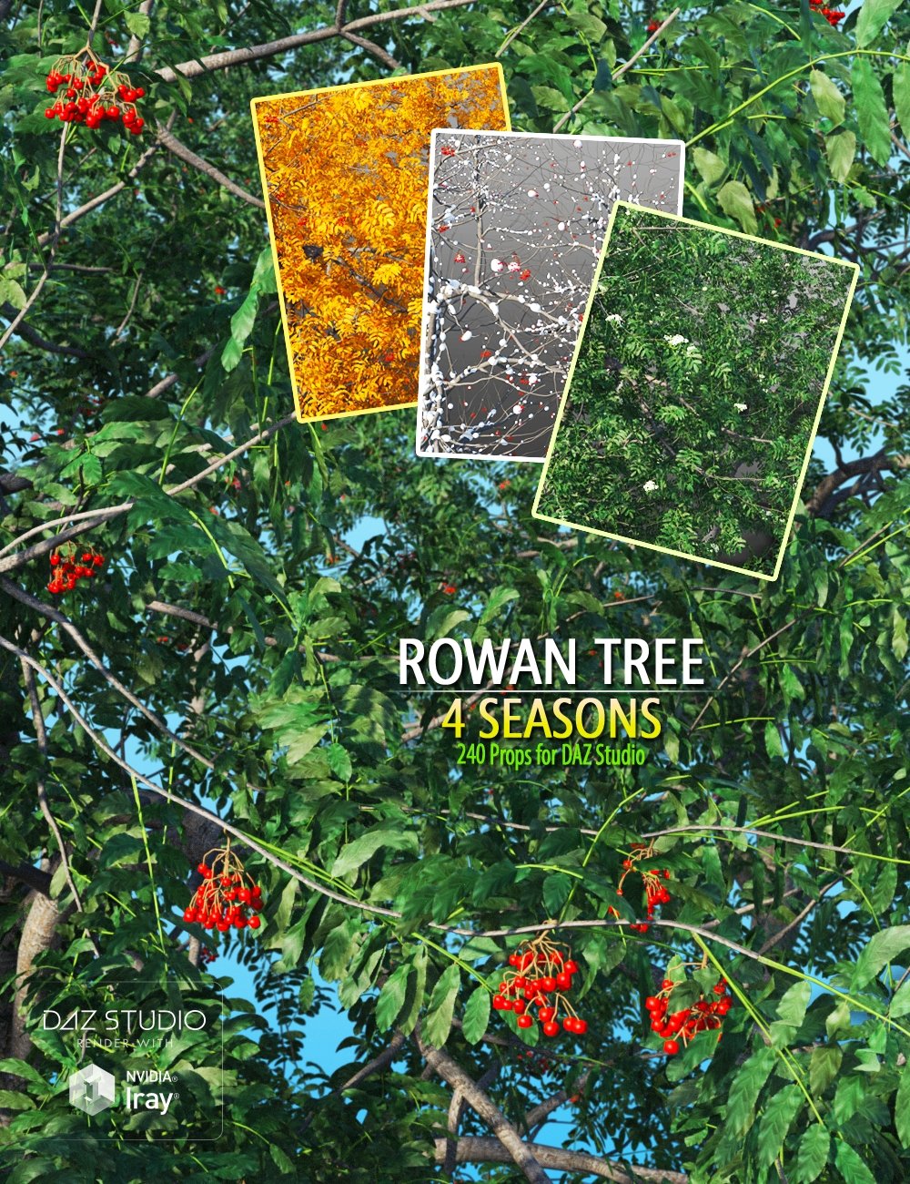 Rowan Tree by: Peanterra, 3D Models by Daz 3D
