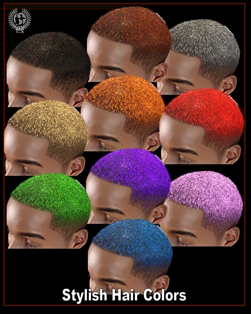 Stylish Hair and Beard for Genesis 3 and 8 Male(s) Stylish Hair and Beard for Genesis 3 and 8 Male(s) by: SamSil, 3D Models by Daz 3D