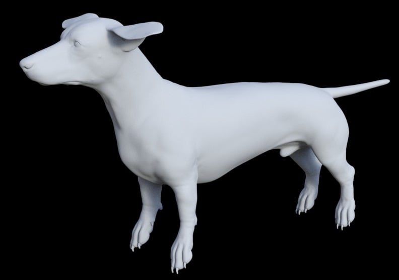 Dachshund for Daz Dog 8 Dachshund for Daz Dog 8 by: , 3D Models by Daz 3D